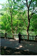 _ICT0090.JPG