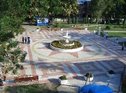 CIMG3886.JPG